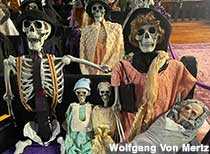 Wolf's Museum of Gods and Monsters Wolf's Museum of Gods and Monsters