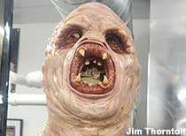 X-Files Preservation Collection X-Files Preservation Collection