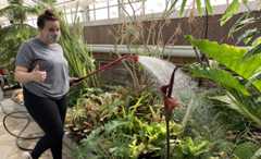 students watering plants in the greenhouse