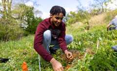 student working with native plants in the field