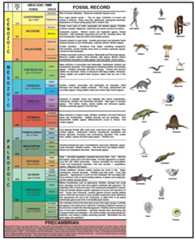 Geological Time Chart