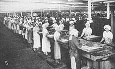 Japanese women in the canneries