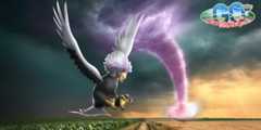 Hisuian Braviary Day