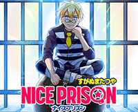 NICE PRISON