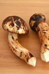 松茸の下ごしらえの写真