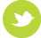 Twitter Twitter