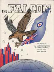 falcon3.jpg (145084 bytes)