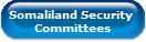Somaliland Security Committees