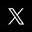 Icon X