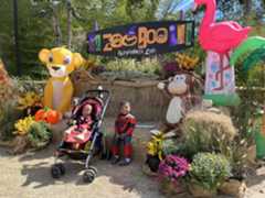 kids at Zoo Boo photo op