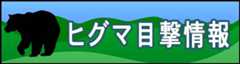 ヒグマ目撃情報