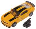 Picture of Bumblebee (87) 