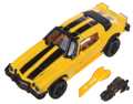 Picture of Bumblebee (100) 
