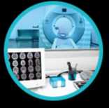 Transparency home cut 08 1