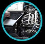 Transparency home cut 13 1