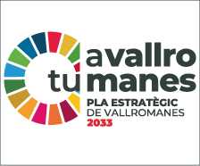 Pla estratègic de Vallromanes 2033