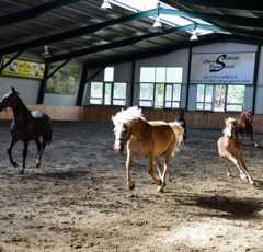 Sióréti Equestrian Centre