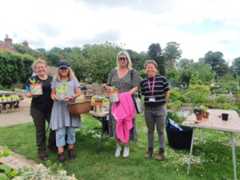 image_2022-05-26_142743335