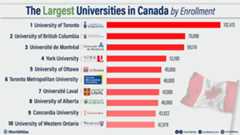 An infographic showing the largest universities in Canada by enrollment.