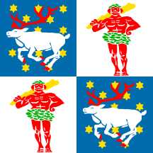 [Flag of the County of Norrbotten, 1949-1995                      (Sweden)]