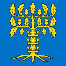 [Flag of Blekinge county                        (Sweden)]