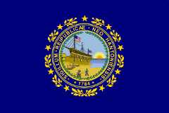 [Flag of                                  State of New Hampshire, 1909-1931                                  (U.S.)]