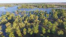 航拍新疆额尔齐斯河汛期