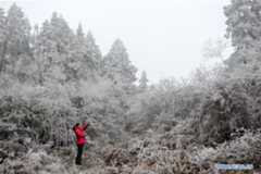 #CHINA-GUIZHOU-MIAOLING-SCENERY (CN)