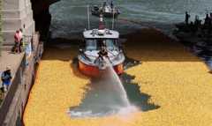 13th Annual Chicago Ducky Derby held in Chicago, United States