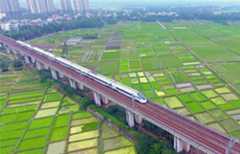 Bullet trains seen above field of cole flowers across China