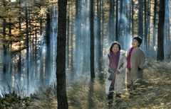 Forest coverage rate of Haodifang forest farm reaches 98 percent