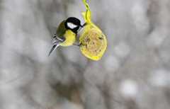 Xinhua photos of the day