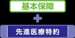 基本保障 + 先進医療特約