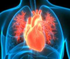 Fruti që ul rrezikun e sulmit në zemër, sasia që duhet të konsumoni