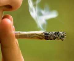 Çfarë u bën mushkërive kanabisi?