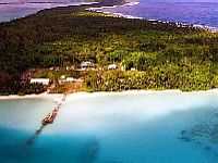 Plantation                        1985