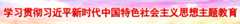 学习贯彻习近平新时代中国特色社会主义思想主题教育