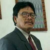 berlian romanus turnip related author profile picture