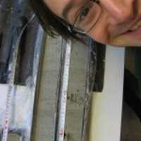 Kim M Cohen related author profile picture