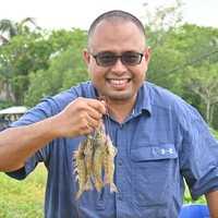 Romi Novriadi (Ph.D) related author profile picture