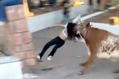 【動画】牛追い祭りの牛に華奢な女性がやられてしまう事故。