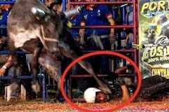【動画】メキシコのロデオでヤバい事故。このカウボーイは生きていますか？(@_@;)