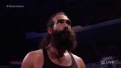 WWE Luke Harper WWE NXT Brodie Lee