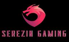 Serezin Gaming