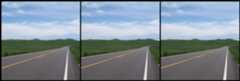 SunHays80_035