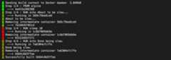 Docker build with color output