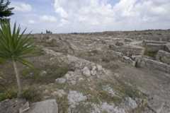 Ugarit sept 2009 3901.jpg