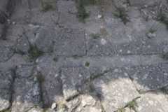 Ugarit sept 2009 3910.jpg