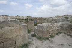 Ugarit sept 2009 3912.jpg