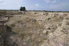 Ugarit sept 2009 3924.jpg